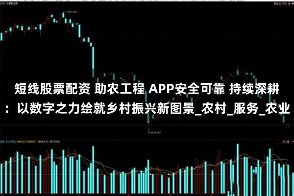 短线股票配资 助农工程 APP安全可靠 持续深耕：以数字之力绘就乡村振兴新图景_农村_服务_农业